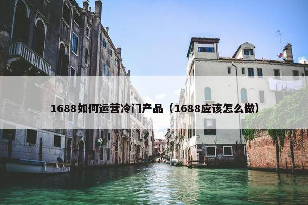 1688如何运营冷门产品（1688应该怎么做）