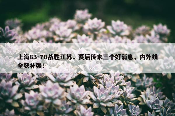 上海83-70战胜江苏，赛后传来三个好消息，内外线全获补强！