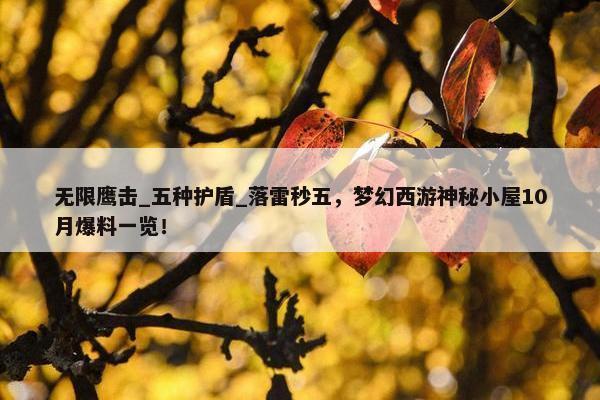 无限鹰击_五种护盾_落雷秒五，梦幻西游神秘小屋10月爆料一览！