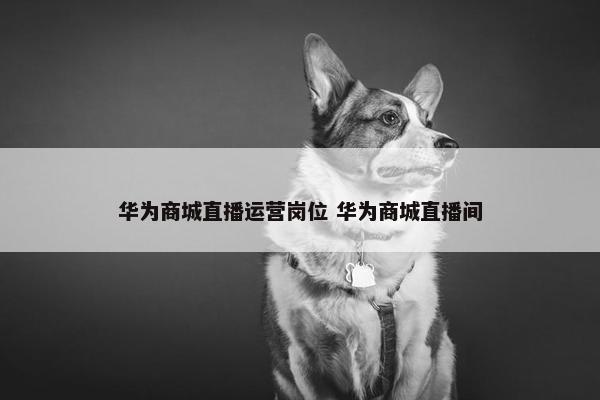 华为商城直播运营岗位 华为商城直播间