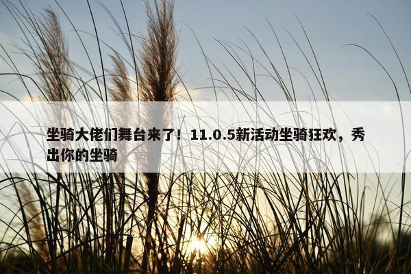 坐骑大佬们舞台来了！11.0.5新活动坐骑狂欢，秀出你的坐骑