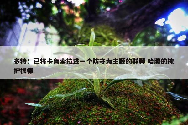 多特：已将卡鲁索拉进一个防守为主题的群聊 哈滕的掩护很棒