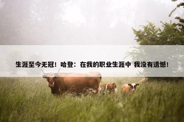 生涯至今无冠！哈登：在我的职业生涯中 我没有遗憾！