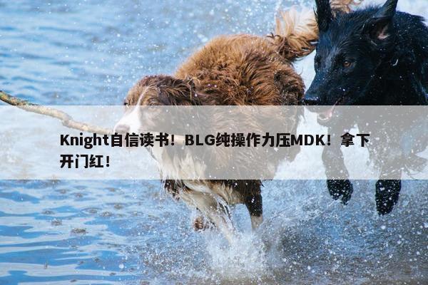 Knight自信读书！BLG纯操作力压MDK！拿下开门红！