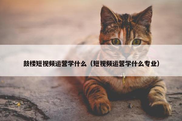 鼓楼短视频运营学什么（短视频运营学什么专业）