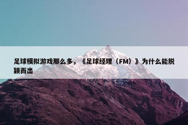 足球模拟游戏那么多，《足球经理（FM）》为什么能脱颖而出