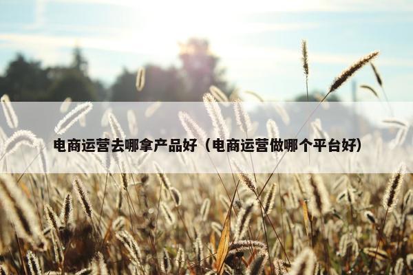 电商运营去哪拿产品好（电商运营做哪个平台好）