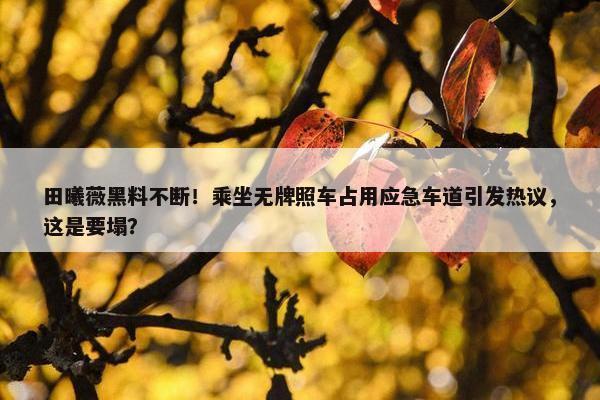 田曦薇黑料不断！乘坐无牌照车占用应急车道引发热议，这是要塌？