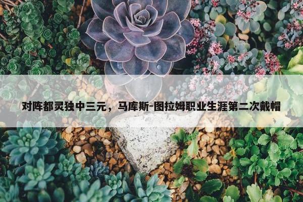 对阵都灵独中三元，马库斯-图拉姆职业生涯第二次戴帽