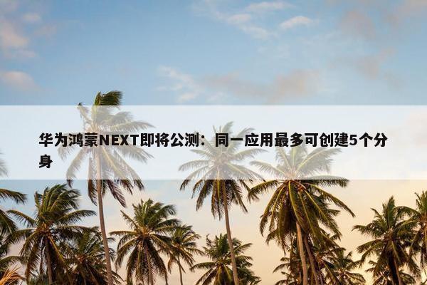 华为鸿蒙NEXT即将公测：同一应用最多可创建5个分身