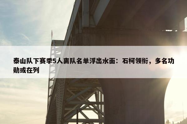 泰山队下赛季5人离队名单浮出水面：石柯领衔，多名功勋或在列