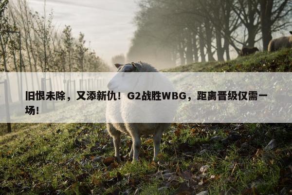 旧恨未除，又添新仇！G2战胜WBG，距离晋级仅需一场！