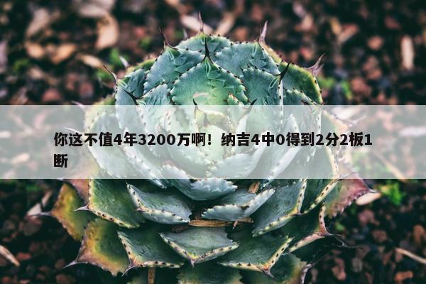 你这不值4年3200万啊！纳吉4中0得到2分2板1断