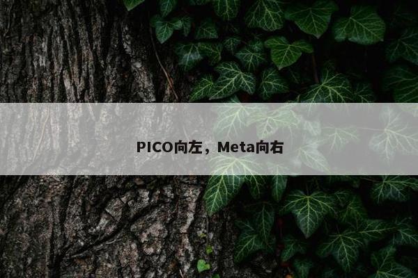 PICO向左，Meta向右