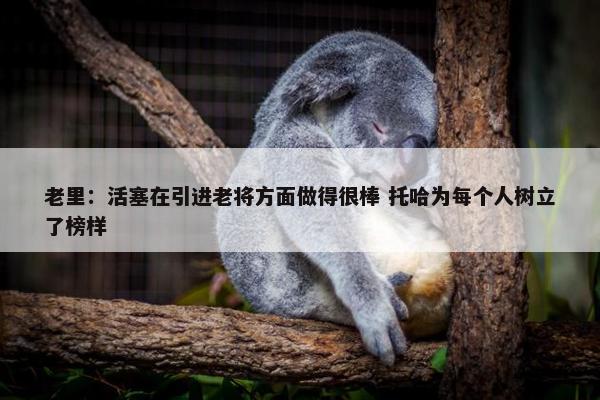 老里：活塞在引进老将方面做得很棒 托哈为每个人树立了榜样