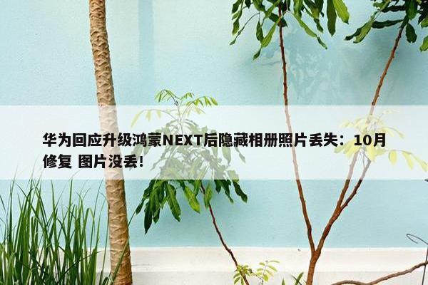 华为回应升级鸿蒙NEXT后隐藏相册照片丢失：10月修复 图片没丢！