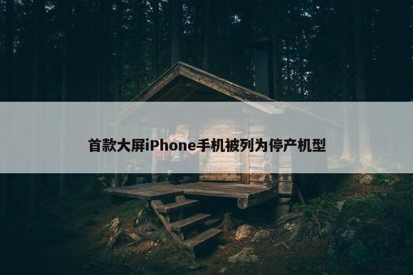 首款大屏iPhone手机被列为停产机型