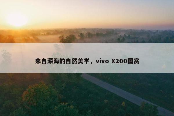 来自深海的自然美学，vivo X200图赏