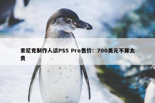 索尼克制作人谈PS5 Pro售价：700美元不算太贵