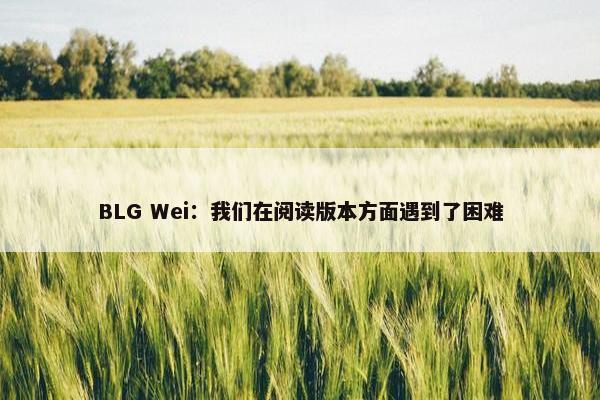 BLG Wei：我们在阅读版本方面遇到了困难