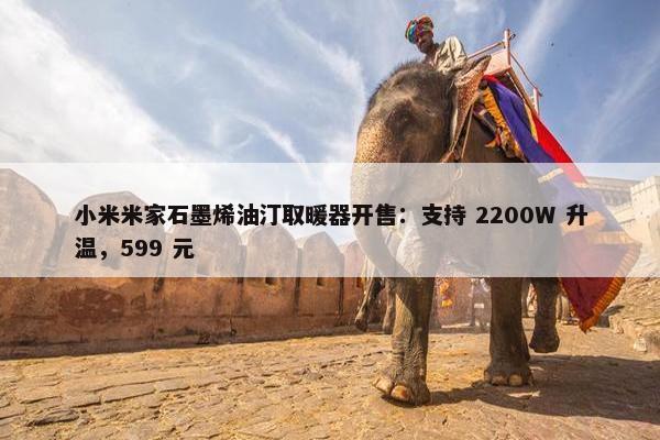 小米米家石墨烯油汀取暖器开售：支持 2200W 升温，599 元