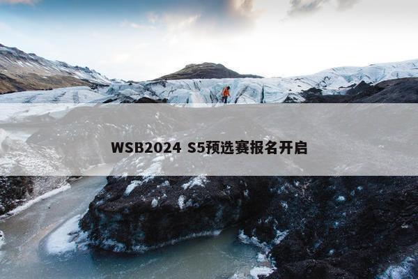 WSB2024 S5预选赛报名开启