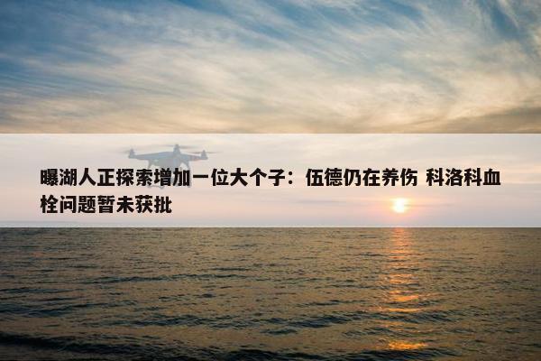 曝湖人正探索增加一位大个子：伍德仍在养伤 科洛科血栓问题暂未获批