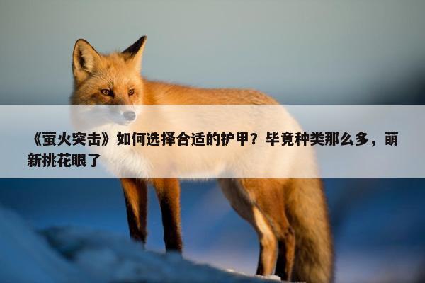 《萤火突击》如何选择合适的护甲？毕竟种类那么多，萌新挑花眼了