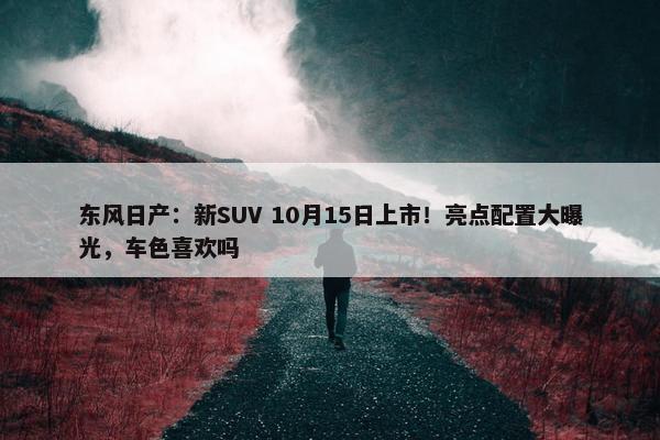 东风日产：新SUV 10月15日上市！亮点配置大曝光，车色喜欢吗