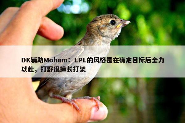 DK辅助Moham：LPL的风格是在确定目标后全力以赴，打野很擅长打架