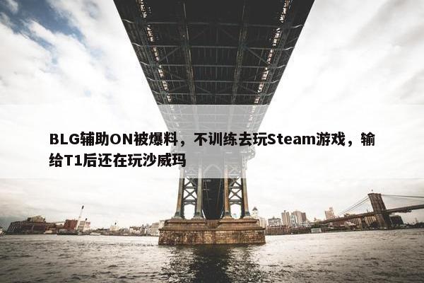 BLG辅助ON被爆料，不训练去玩Steam游戏，输给T1后还在玩沙威玛