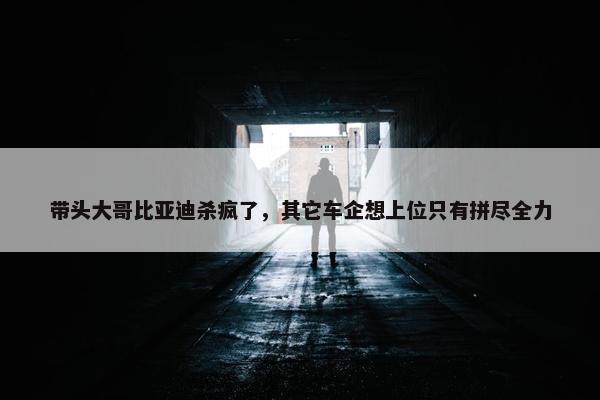 带头大哥比亚迪杀疯了，其它车企想上位只有拼尽全力