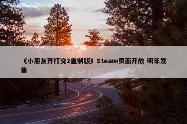 《小朋友齐打交2重制版》Steam页面开放 明年发售