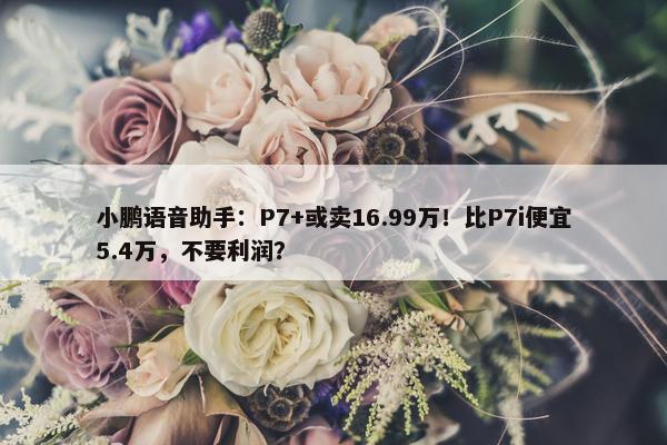 小鹏语音助手：P7+或卖16.99万！比P7i便宜5.4万，不要利润？