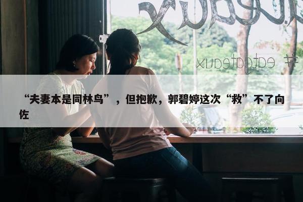 “夫妻本是同林鸟”，但抱歉，郭碧婷这次“救”不了向佐