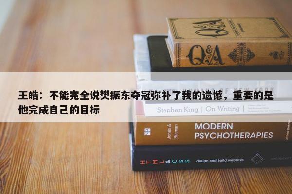 王皓：不能完全说樊振东夺冠弥补了我的遗憾，重要的是他完成自己的目标