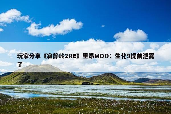 玩家分享《寂静岭2RE》里昂MOD：生化9提前泄露了