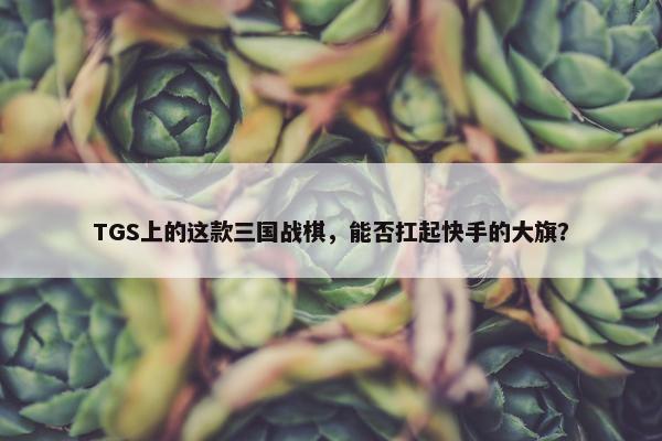 TGS上的这款三国战棋，能否扛起快手的大旗？