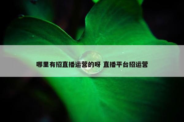 哪里有招直播运营的呀 直播平台招运营