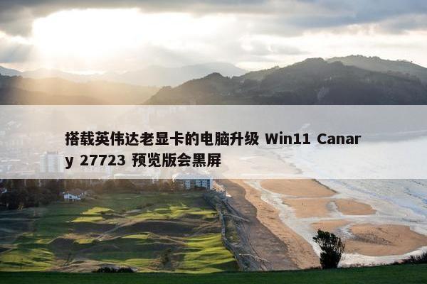 搭载英伟达老显卡的电脑升级 Win11 Canary 27723 预览版会黑屏