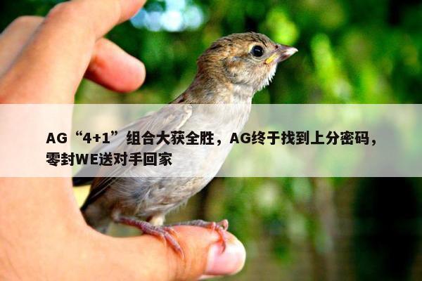 AG“4+1”组合大获全胜，AG终于找到上分密码，零封WE送对手回家