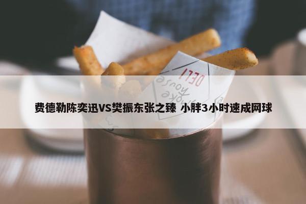 费德勒陈奕迅VS樊振东张之臻 小胖3小时速成网球