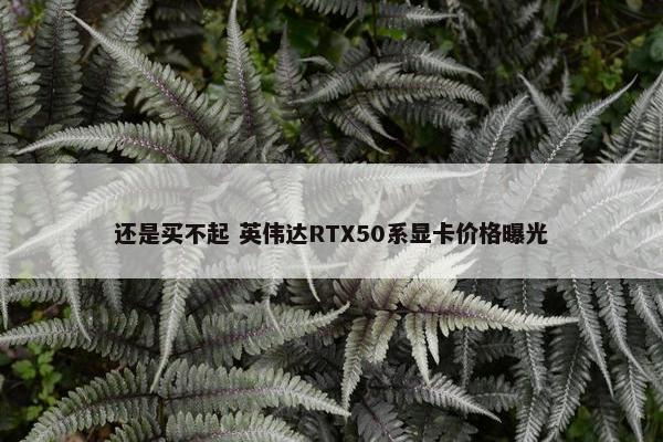 还是买不起 英伟达RTX50系显卡价格曝光