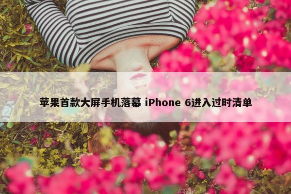 苹果首款大屏手机落幕 iPhone 6进入过时清单