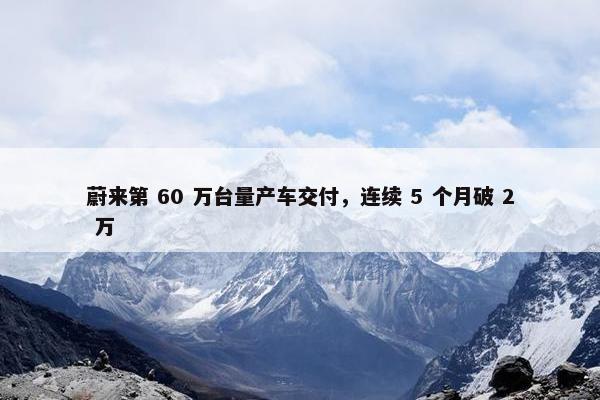 蔚来第 60 万台量产车交付，连续 5 个月破 2 万