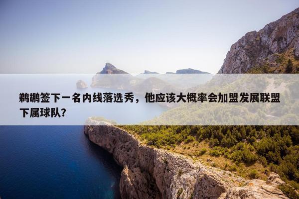 鹈鹕签下一名内线落选秀，他应该大概率会加盟发展联盟下属球队？