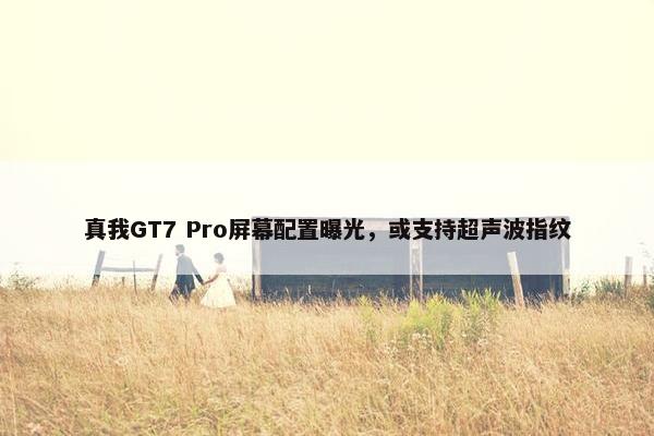 真我GT7 Pro屏幕配置曝光，或支持超声波指纹