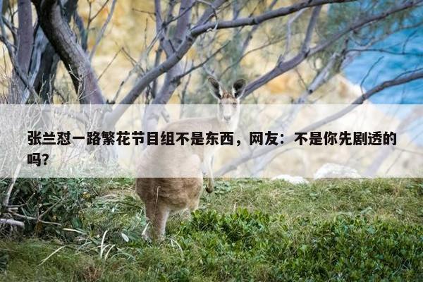 张兰怼一路繁花节目组不是东西，网友：不是你先剧透的吗？