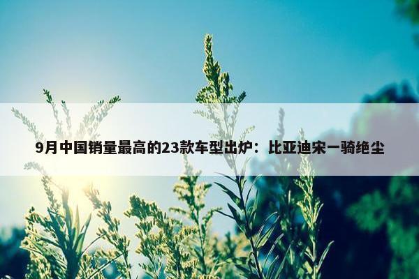 9月中国销量最高的23款车型出炉：比亚迪宋一骑绝尘