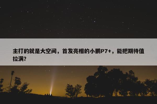 主打的就是大空间，首发亮相的小鹏P7+，能把期待值拉满？